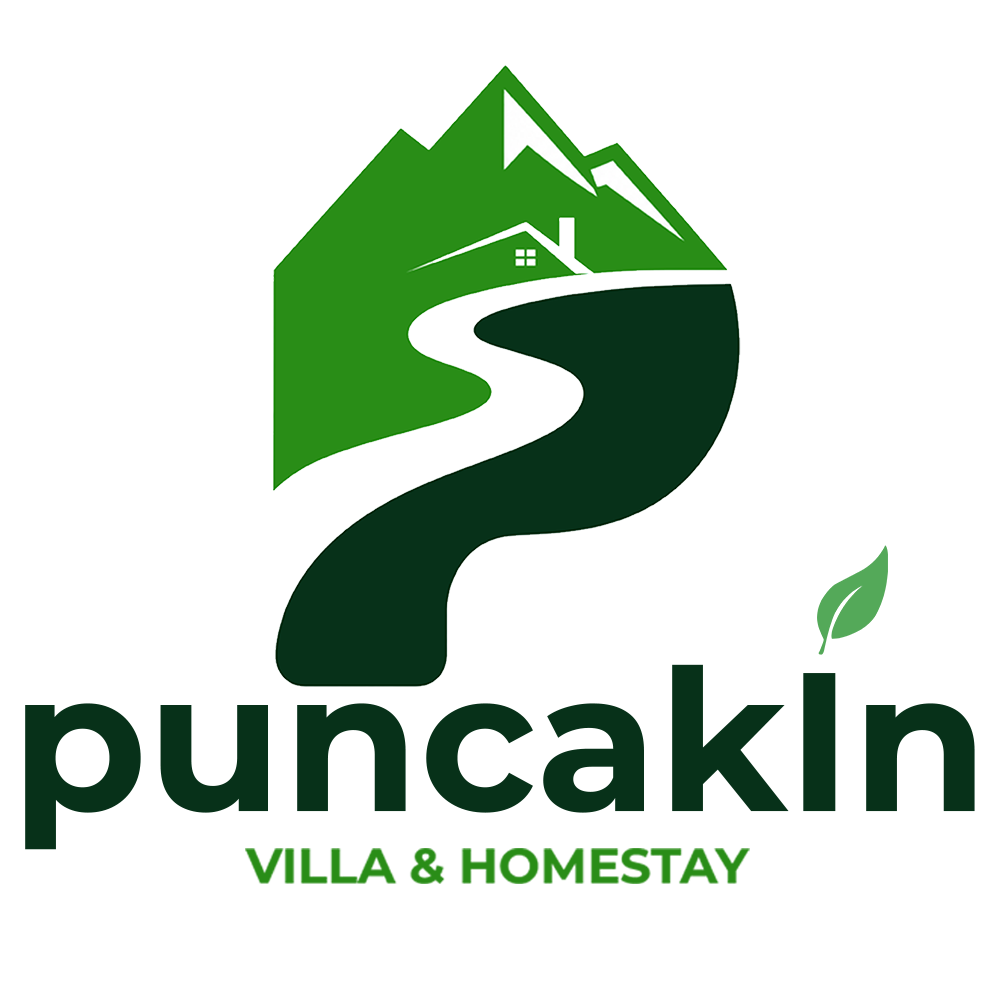 Puncakin Logo
